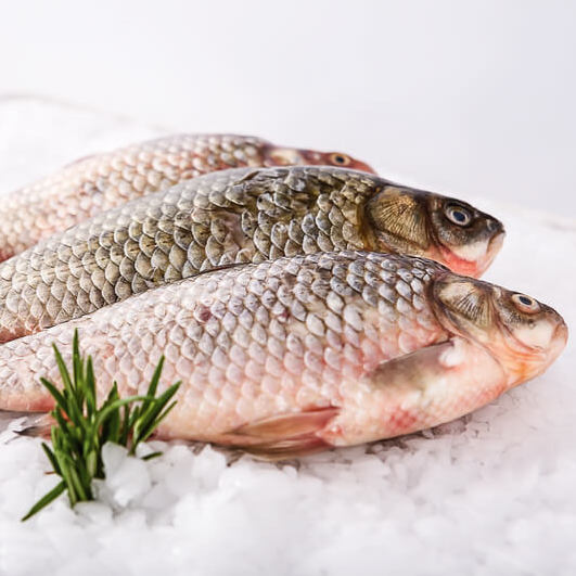 Fish and Seafood - Choose the fish and seafood specialties you prefer and get them delivered to wherever you are. Fish Whole Fish Fillets Seafood Smoked Fish Canned Fish